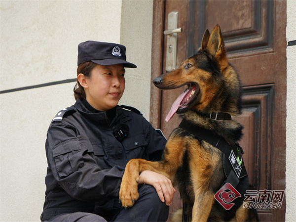 将女警训练成警犬图片