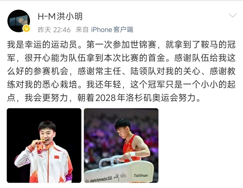 19岁鞍马世界冠军谈拿首金：很开心很幸运！目标是2028洛杉矶