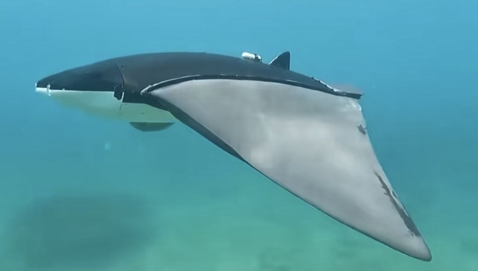 "比真鱼游得更好"蝠鲼潜水器登央视,保护珊瑚的监测仪器为何cos蝠鲼