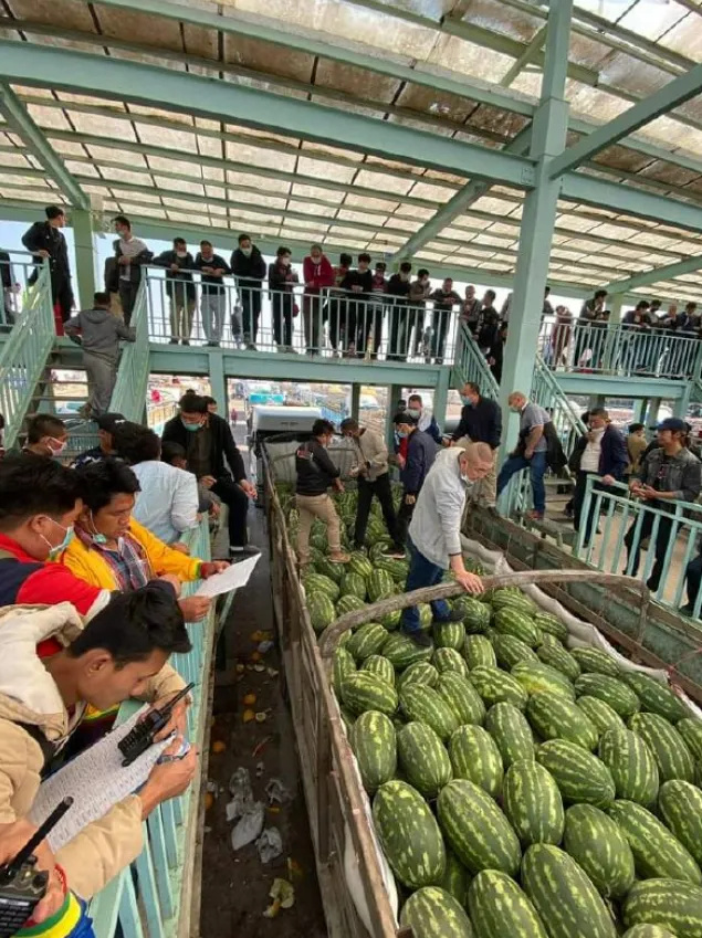 “好西瓜运到市场都变次品了！”缅甸西瓜种植农户亏损_腾讯新闻