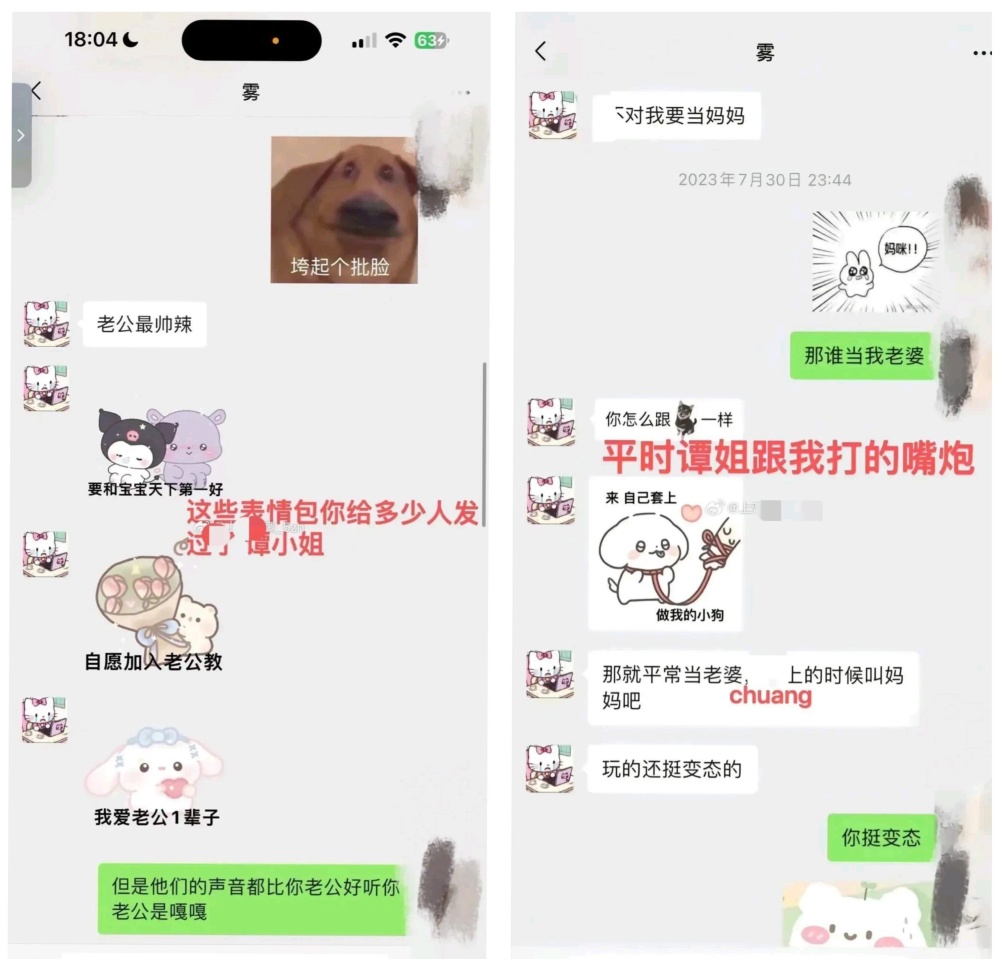 胖猫事件再升级,男子冒充谭竹发布聊天记录,现已被行政拘留