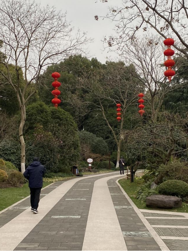 申城阴冷,北风呼呼,微雪飘飘,我骑着电动车到上海闵行莘庄公园打卡,一