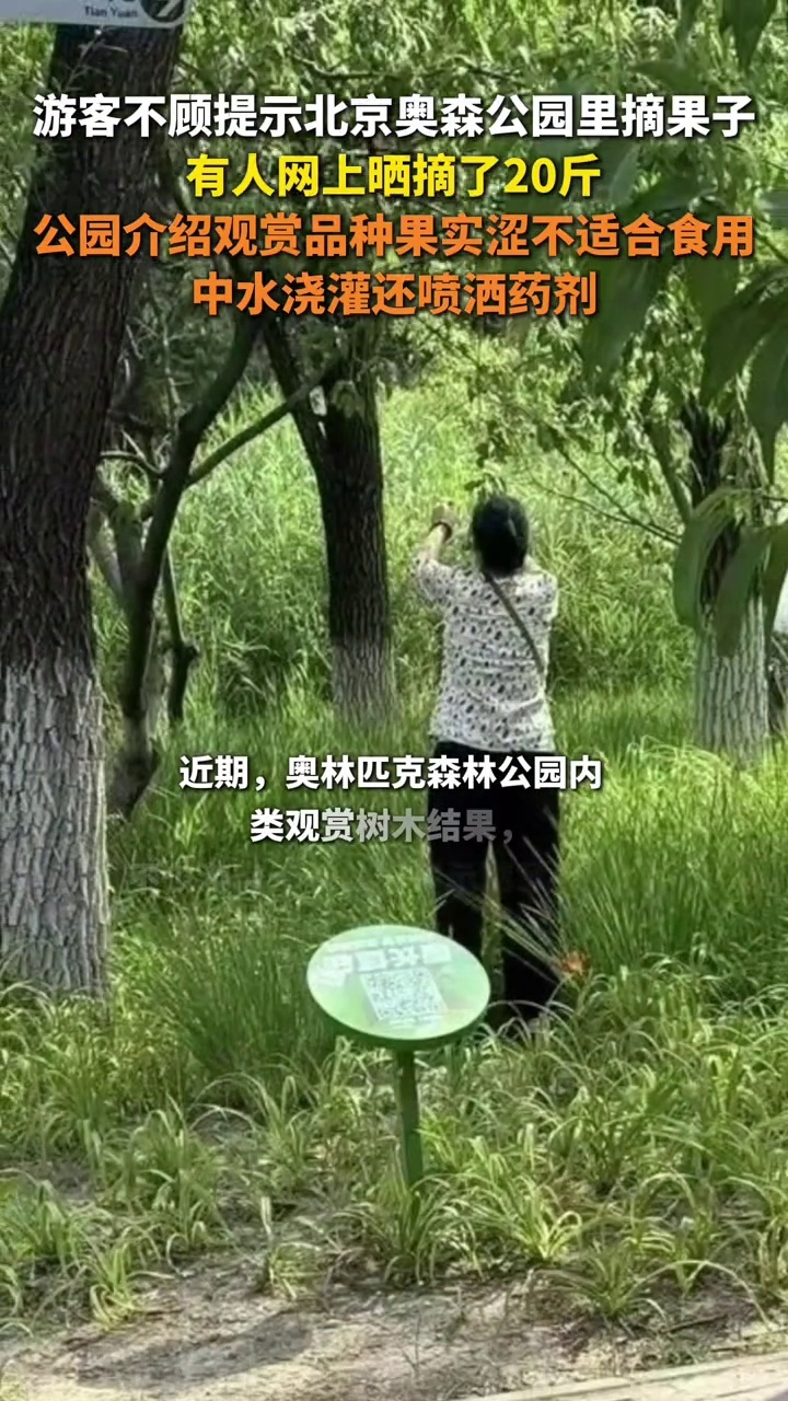 游客不顾提示在公园摘果子，园方：观赏果实，中水浇灌还喷洒药剂_腾讯新闻