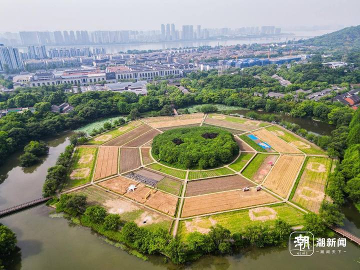 城市漫步日|小满时节,探寻集万千宠爱于一身的八卦田