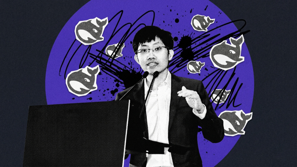 给DeepSeek的最后一封催更信