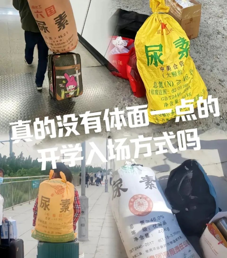 為什么大學新生背的尿素袋，背后是隱形的國家競爭？