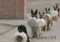 新加坡，東南亞人自己的佛羅里達州！地鐵晾衣服、內褲佔座、大街上裸奔... - 