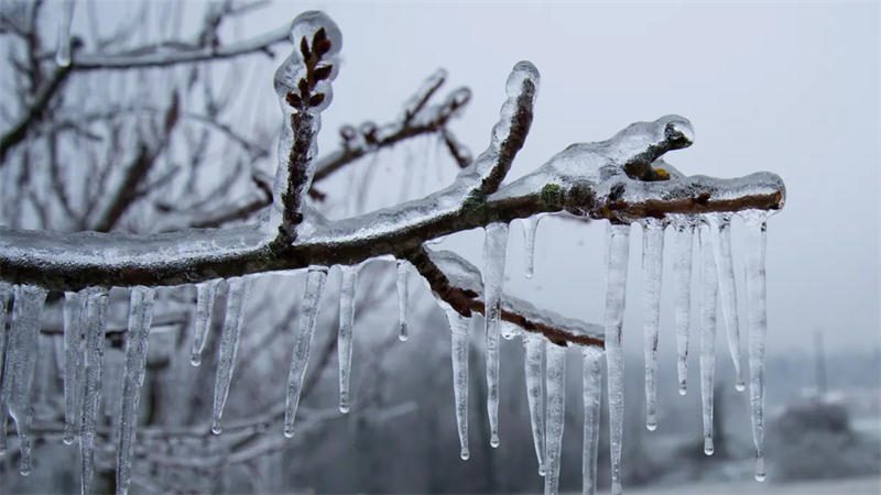 在2008年南方冰雪