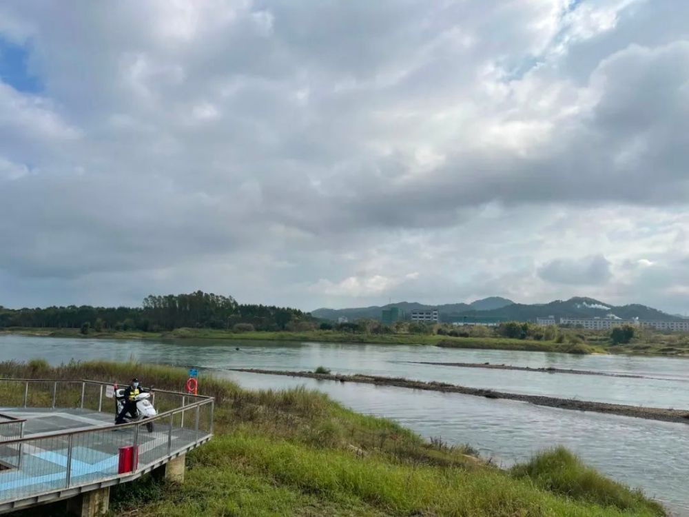 白鹭岛生态公园图片