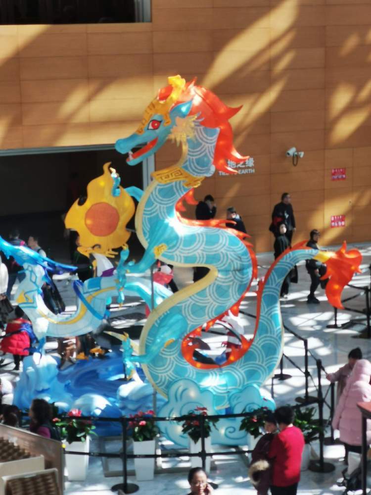 上海自然博物馆"有龙则灵——2024甲辰龙年生肖特展""龙"重登场_腾讯