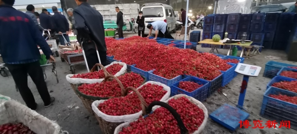 沂源樱桃如何打赢"突围战"