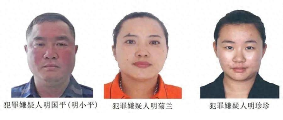 中方发出通缉后,明家彻底覆灭,白所成想逃,被军方拦下_腾讯新闻