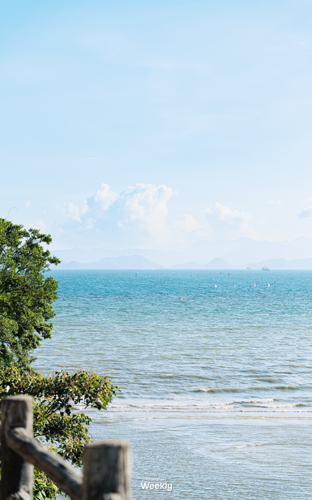 看到五一"下饺子"的大梅沙,就知道深圳人对海是真爱