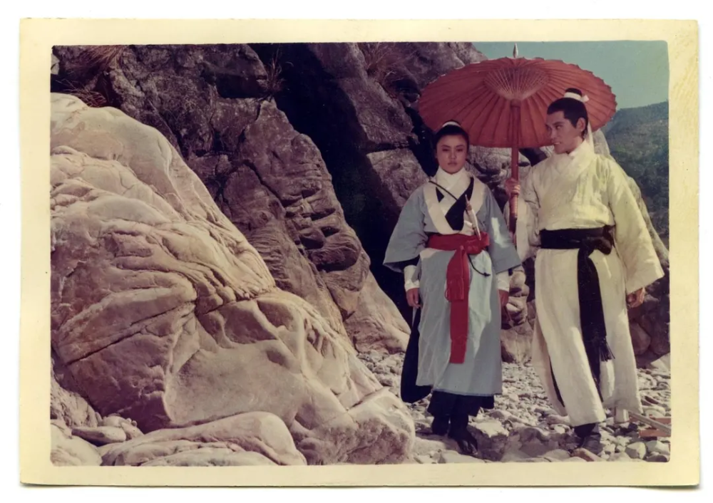 动作片里的胡金铨与张彻,类似于武侠小说里的金庸与古龙