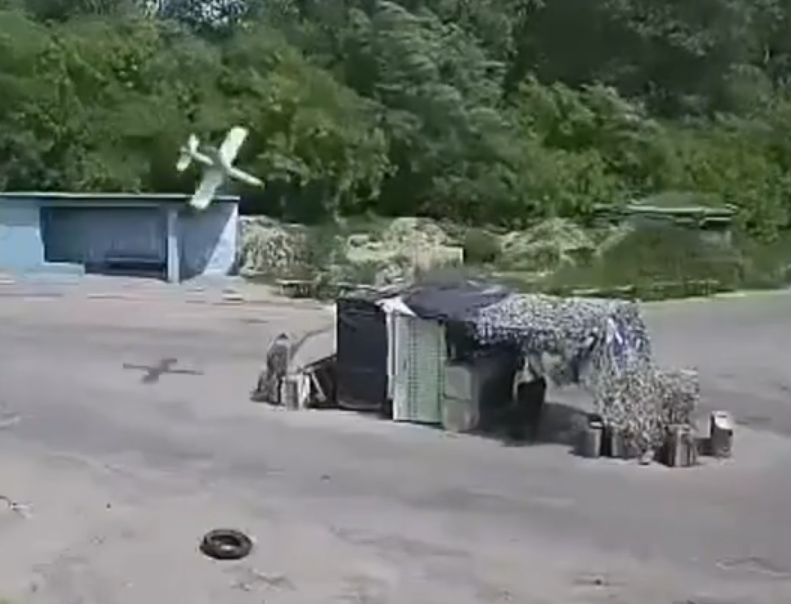 ͼƬ