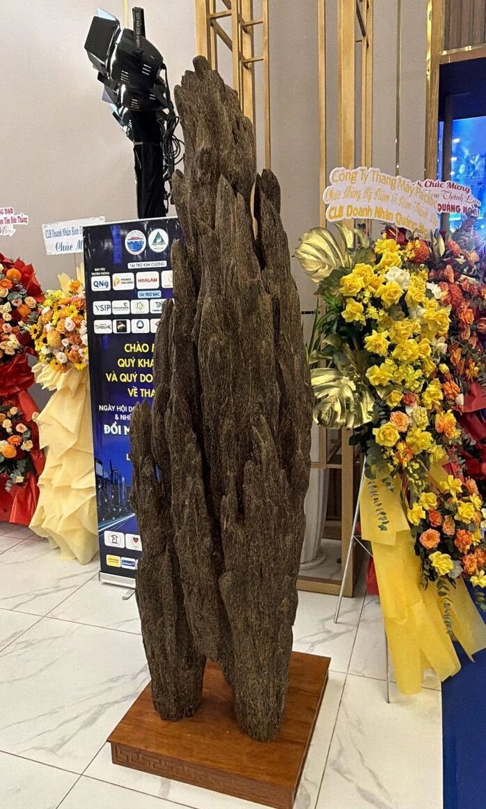 天价沉香拍出9亿！越南富豪慈善夜惊现“神仙”物品，每一分钱都温暖人心！-腾讯新闻