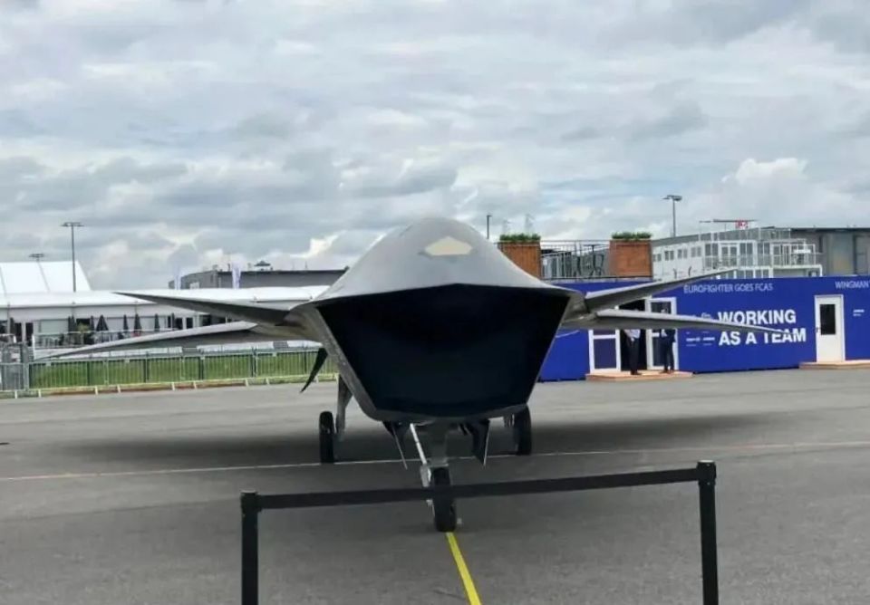 鸭翼带有上反角,机翼后部则进行修型,没有安装垂直尾翼,配备雷达,光电