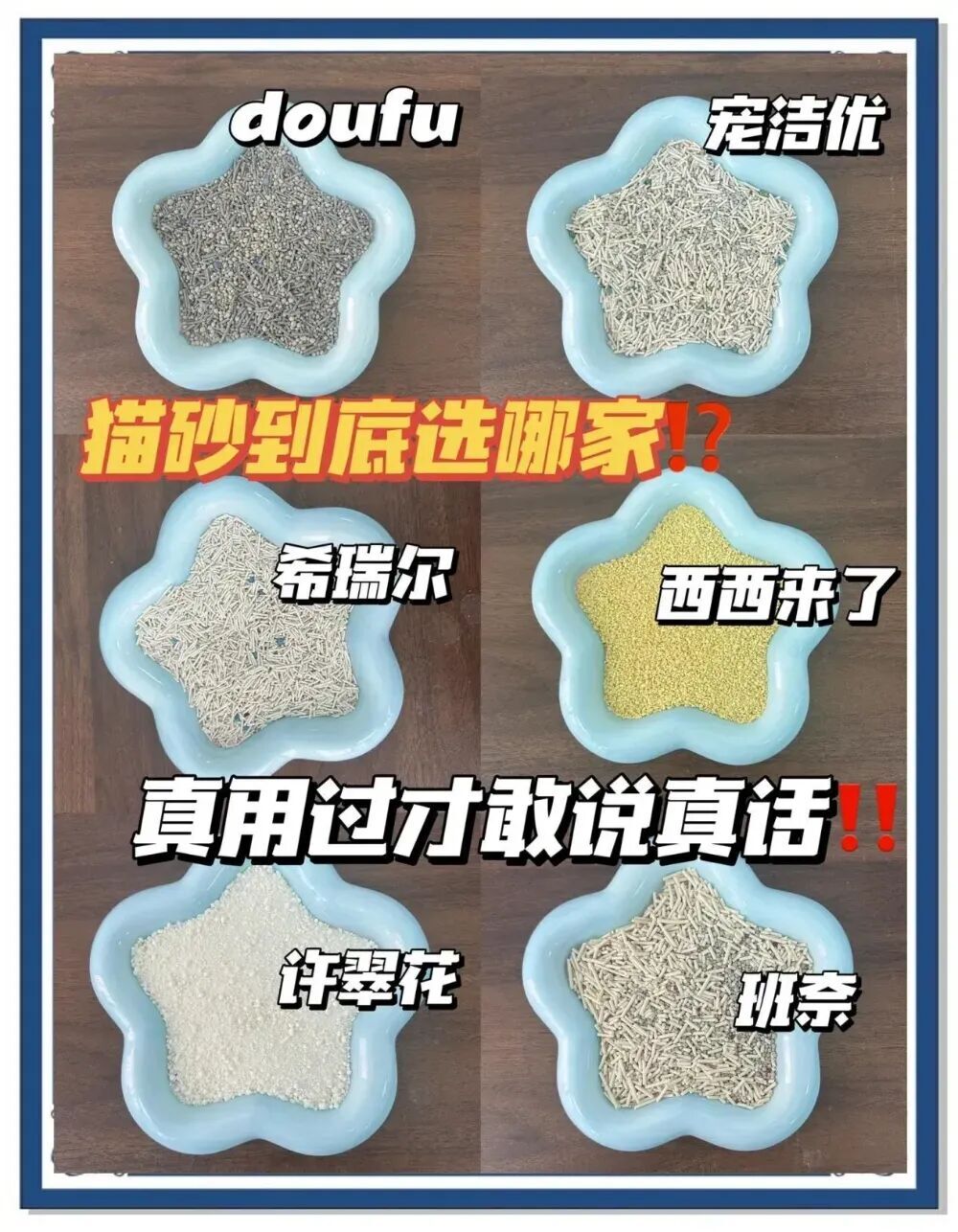 流水3個億，凈利潤只有1%！貓砂比大米還貴，為什麼就是不賺錢？ - 