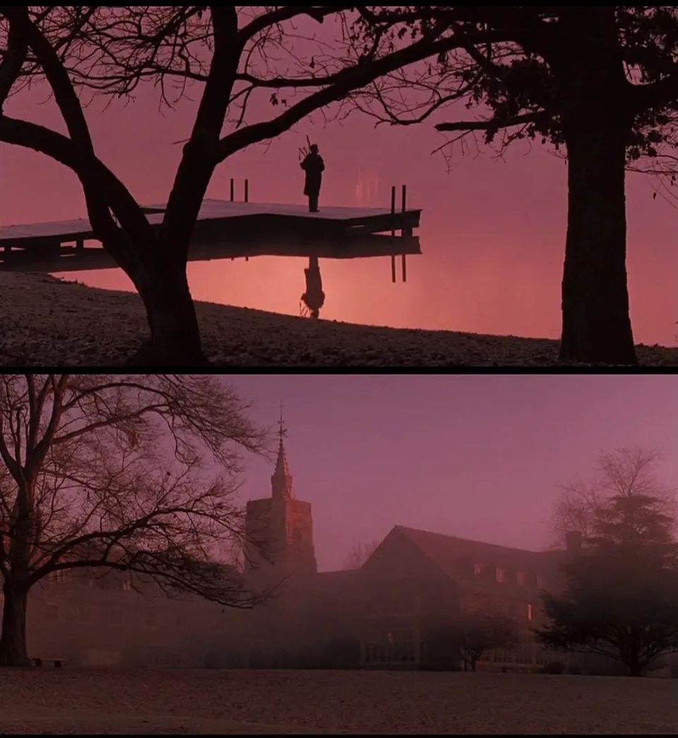 豆瓣9.1高分,时隔35年经典依旧,《死亡诗社》打败应试教育的神作