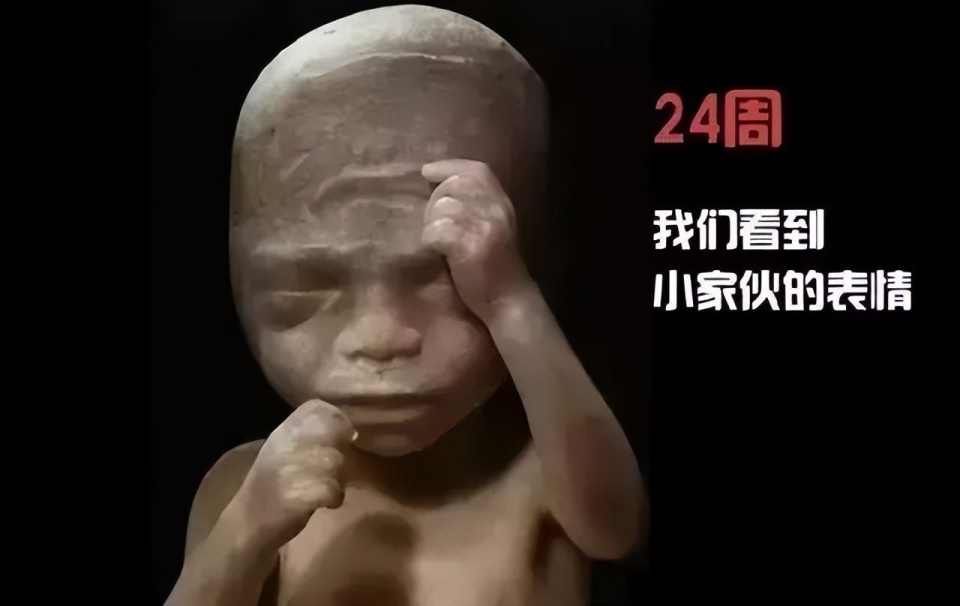 一个婴儿诞生的全过程，14张高清图带你了解，感叹新生命的力量_腾讯新闻