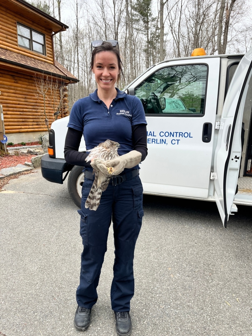 折腾一夜,发现它们只是醉了?