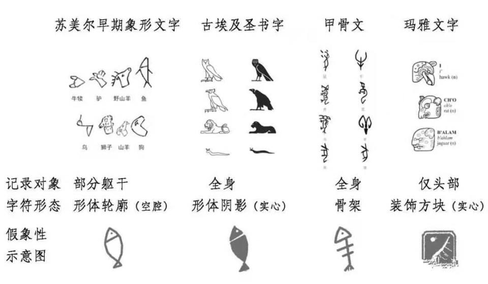 从甲骨文开始,经过4次演变,直到今天的简体字,让孩子真正明白"象形