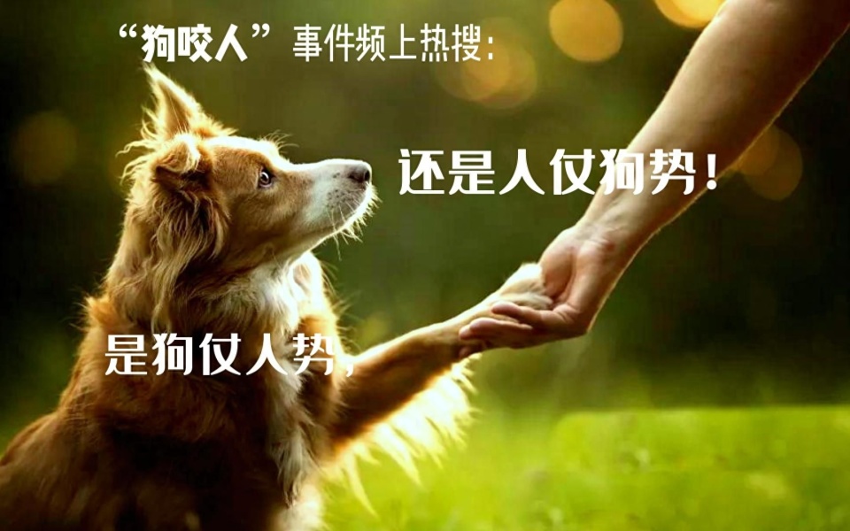 如何避免被狗咬伤？被狗咬怎么急救？注意这8点，避免被狗咬伤！_腾讯新闻