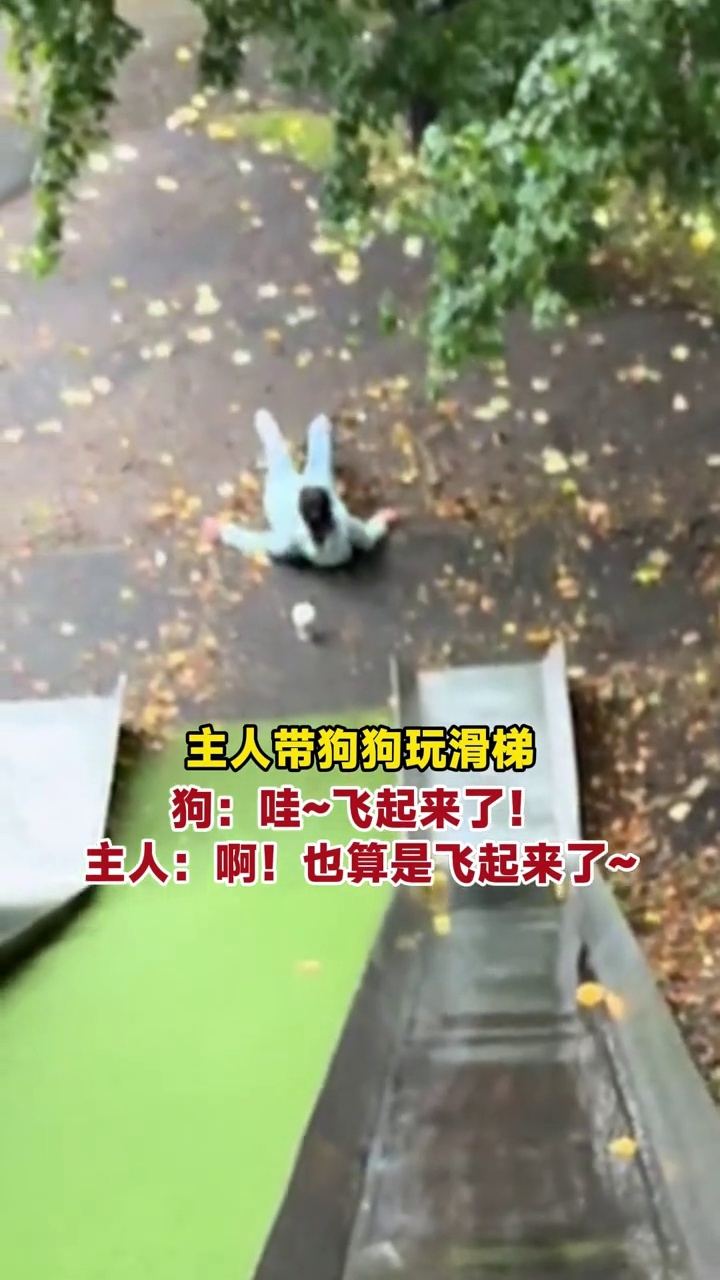 主人带狗狗玩滑梯，狗狗一个滑铲主人飞起来了，狗：我飞起来了_腾讯新闻