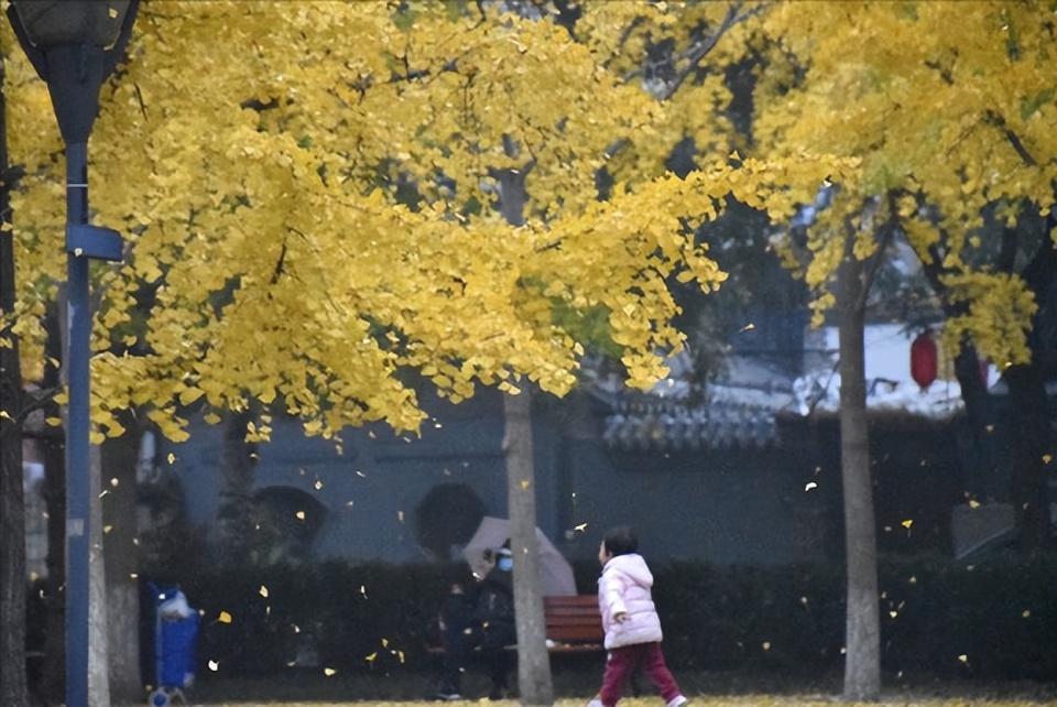 “闰月秋凉悠悠”，今年立秋在闰六月，啥讲究？会出现秋老虎吗？_腾讯新闻
