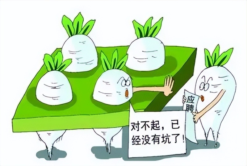 学院招聘被疑萝卜岗 腾讯网