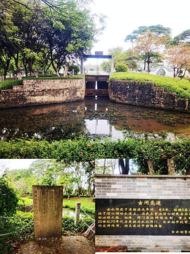 广州白云湖:有花有湖有大草坪,可骑行徒步露营遛娃,攻略来了_腾讯新闻