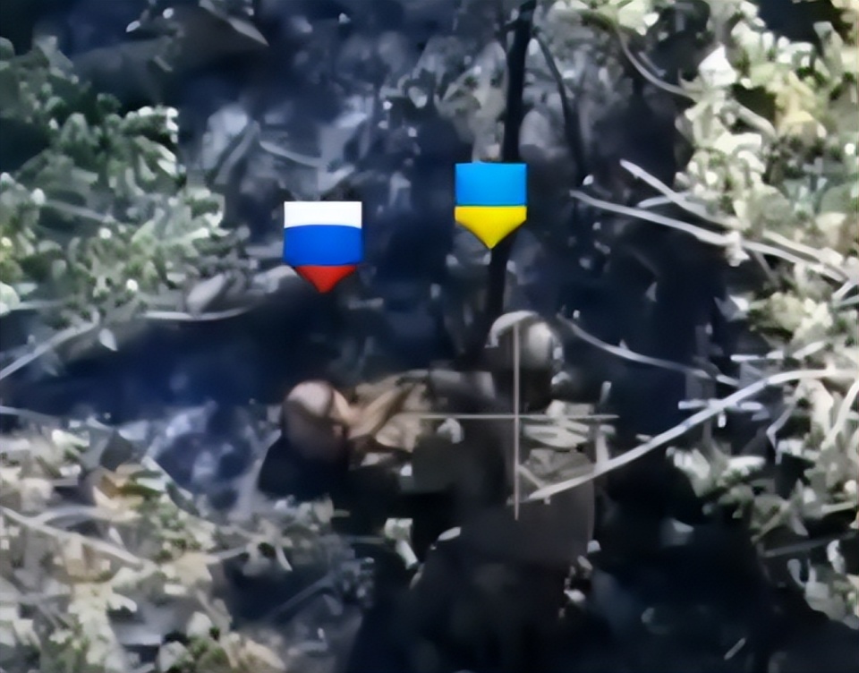 ͼƬ