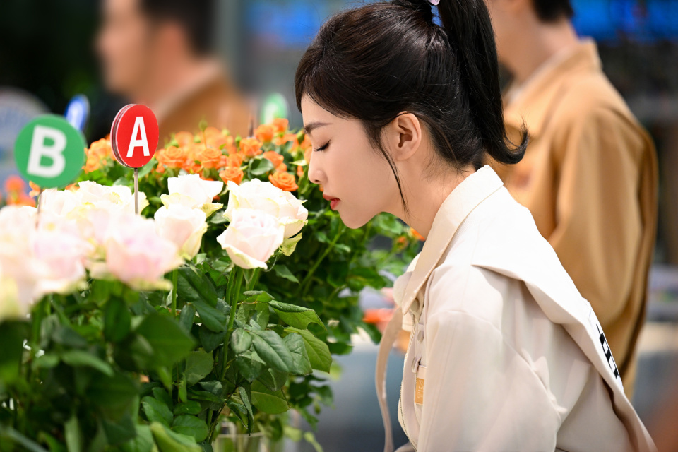 《奔跑吧12》官宣阵容,杨颖退出,宋雨琦补位,全新组合看点更足_腾讯新
