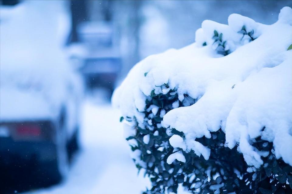 大雪实景图图片