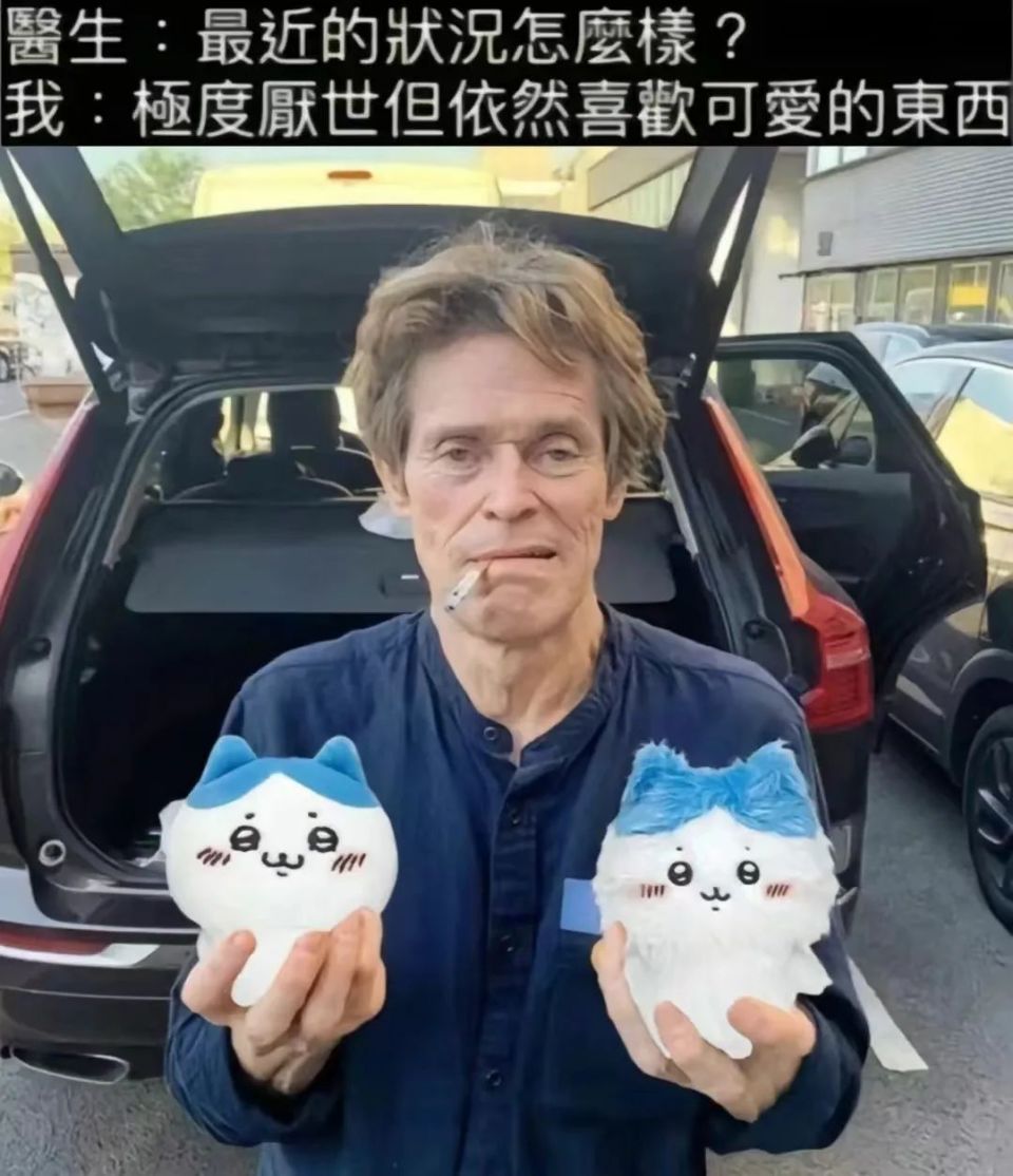 美国上世纪玩过的"宠物石头",正让韩国年轻人癫狂