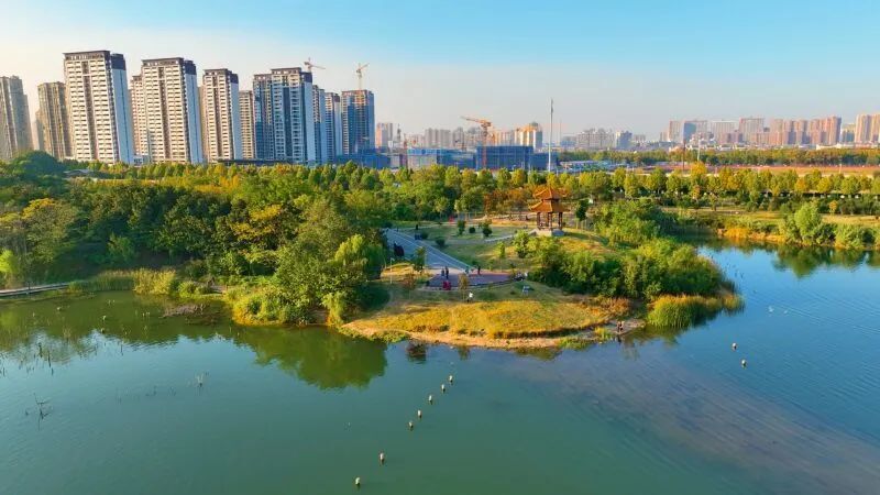 淮南生态湿地秋色如画