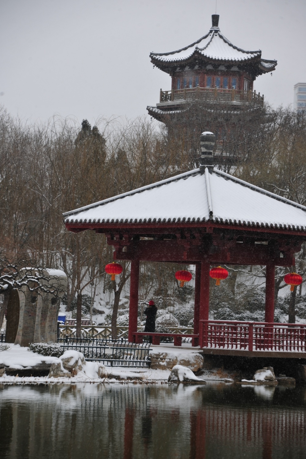 博览组图淄博人民公园宛如冰雪王国
