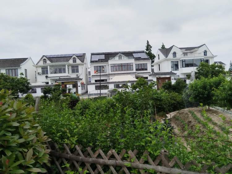 走进吴房村,这里的景色,特色和亮色让我沉浸在"醉乡"中