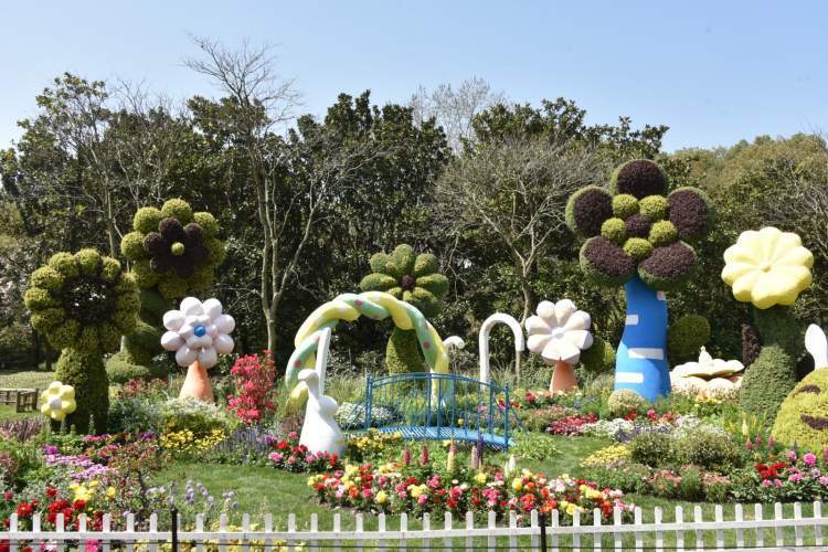 梦境中的奇异花园，墓地与绿花之谜