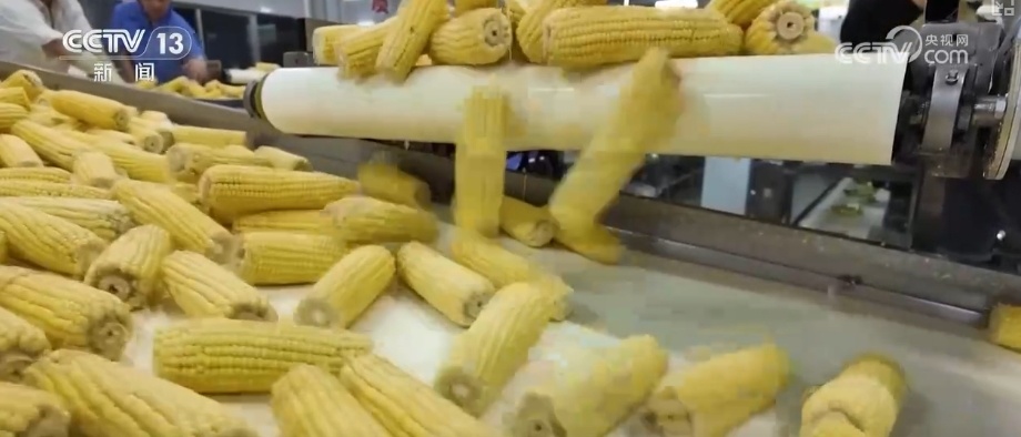 641
