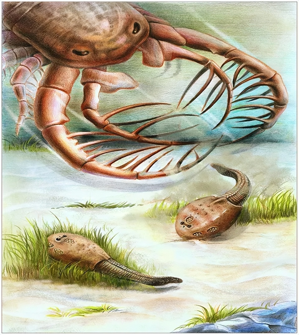 人类祖先被当点心吃了5亿年,凭啥攻击性的器官逆天改命?!_腾讯新闻