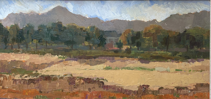 许冬雨《古镇小景》许宏宇《金·田园牧歌》许甜甜《湖畔春暖》许羽佳