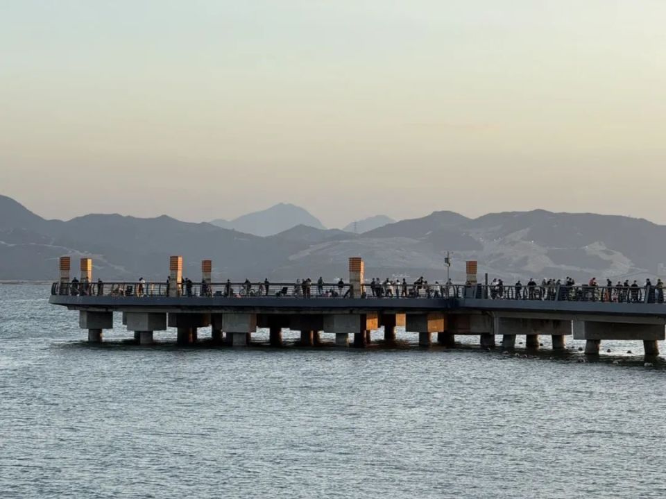 上百“钓鱼佬”聚集深圳湾，禁渔区成了海钓“一条街”？_腾讯新闻