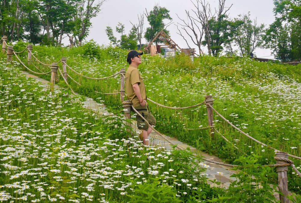 一條小路通向遠方,如果你仔細的話,還可以發現有木頭小人端坐其中