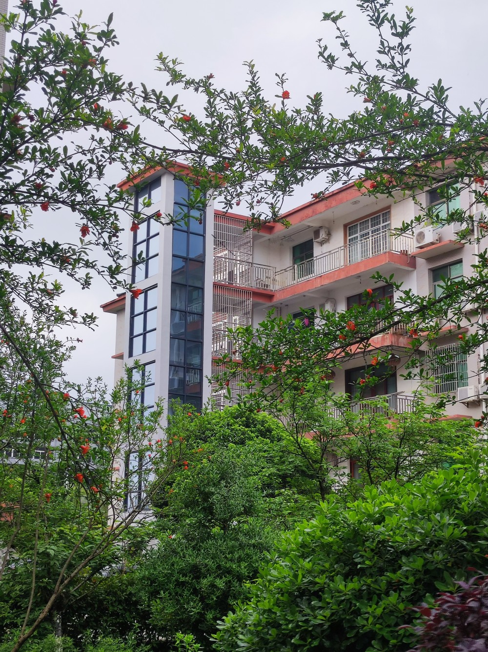 旧楼装新梯!崇阳老破小喜迎"第二春"