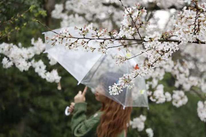 春天真是娃娃脸,说变就变.告别昨天的假夏天,今天秒回阴阴雨雨的春天.