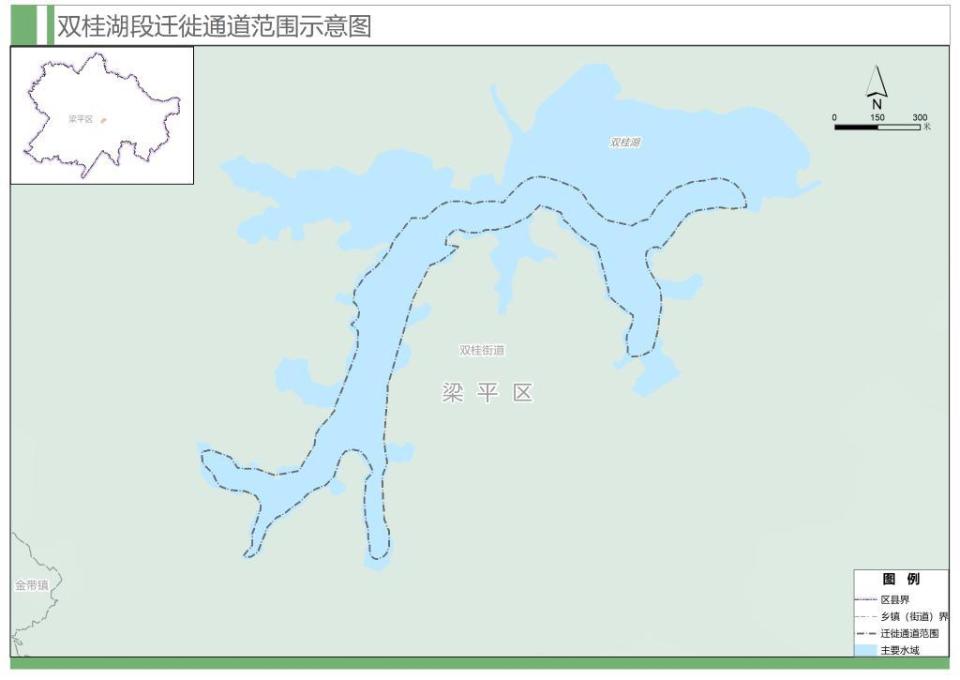 重慶劃定首批9條候鳥遷徙通道 明確禁止這些妨礙遷徙候鳥生息繁衍的