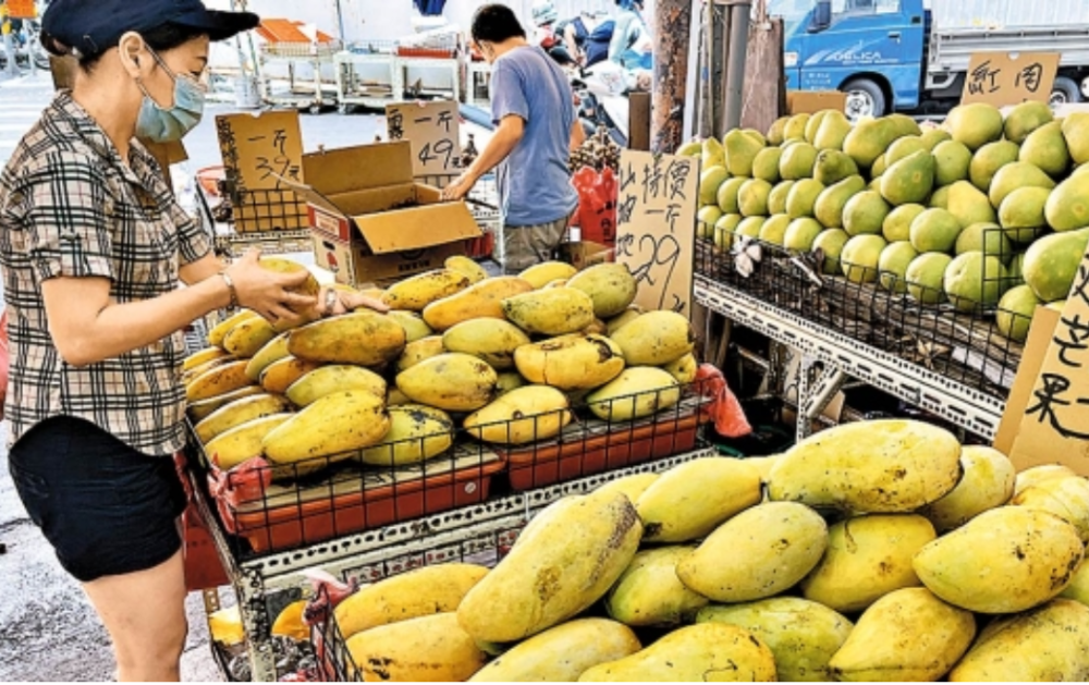台湾地区市面上精品级芒果受追捧,很多卖相差一点的芒果就出现了滞销