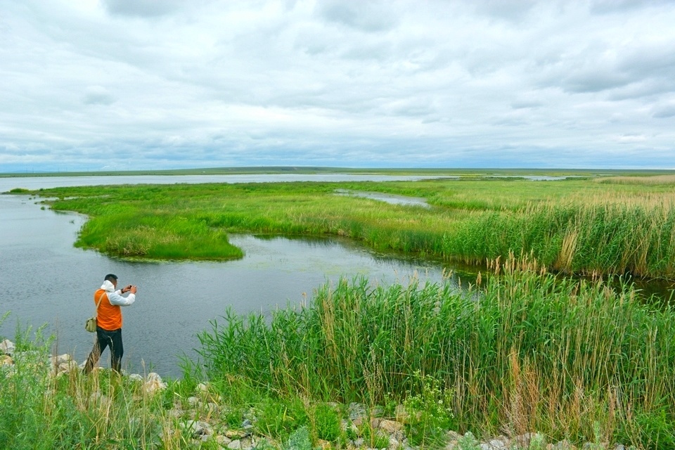 湿地是辉河自然保护区的主体,保护区同时具有河流型,湖泊型,沼泽型
