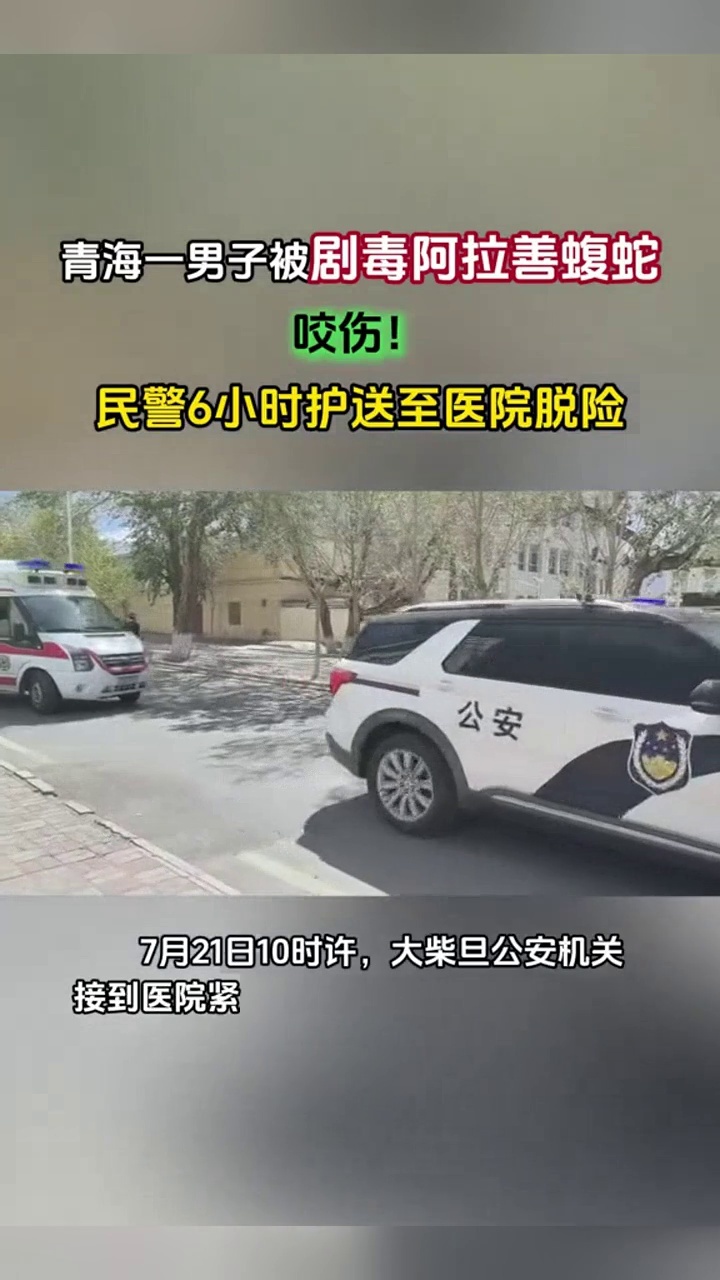 青海一男子被罕见剧毒阿拉善蝮蛇咬伤，警车开道转运700公里救命_腾讯新闻
